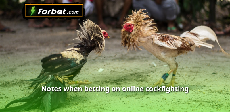 Notes when betting on online cockfighting